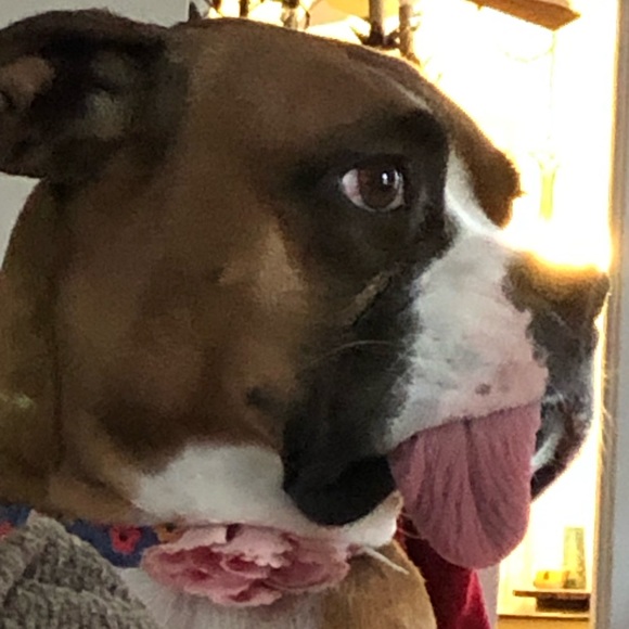 Meet your Posher, Bryan - Picture 1 of 1